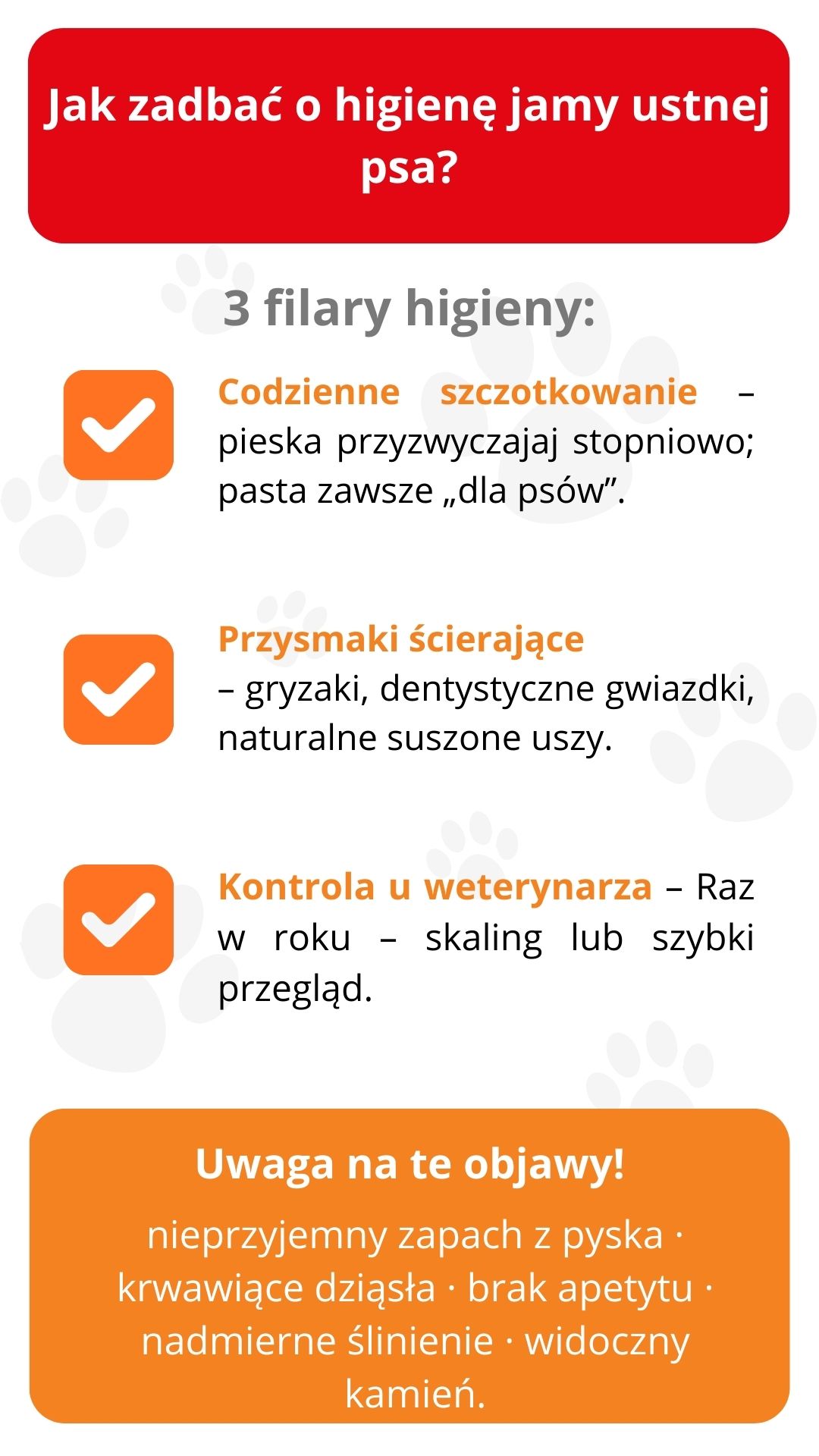 Jak dbać o higienę jamy ustnej psa