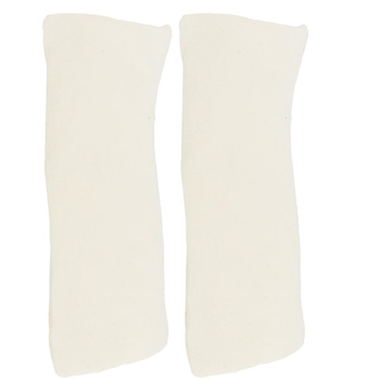 AD22 CHIPS CANINE 454G DENTAL